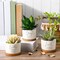 6 Pcs Bible Verse Ceramic Succulent Pots with Bamboo Tray (Bright Style)
